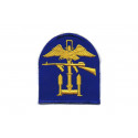 Patch, Engineer Special Brigade (Amphibian Units)