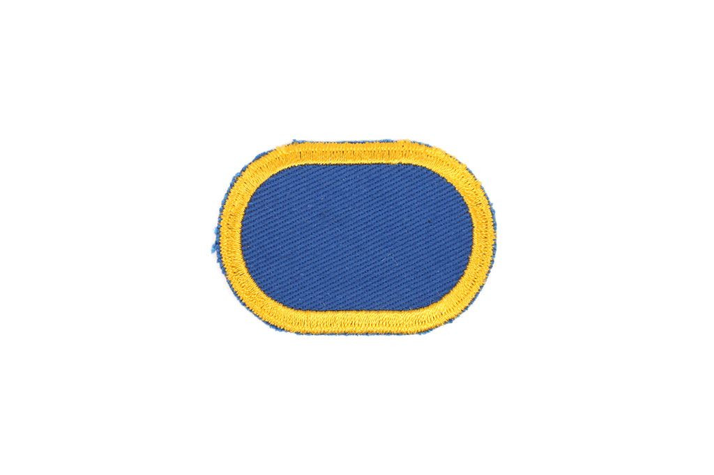 Patch, 504th PIR (Jump Wing Background Oval)